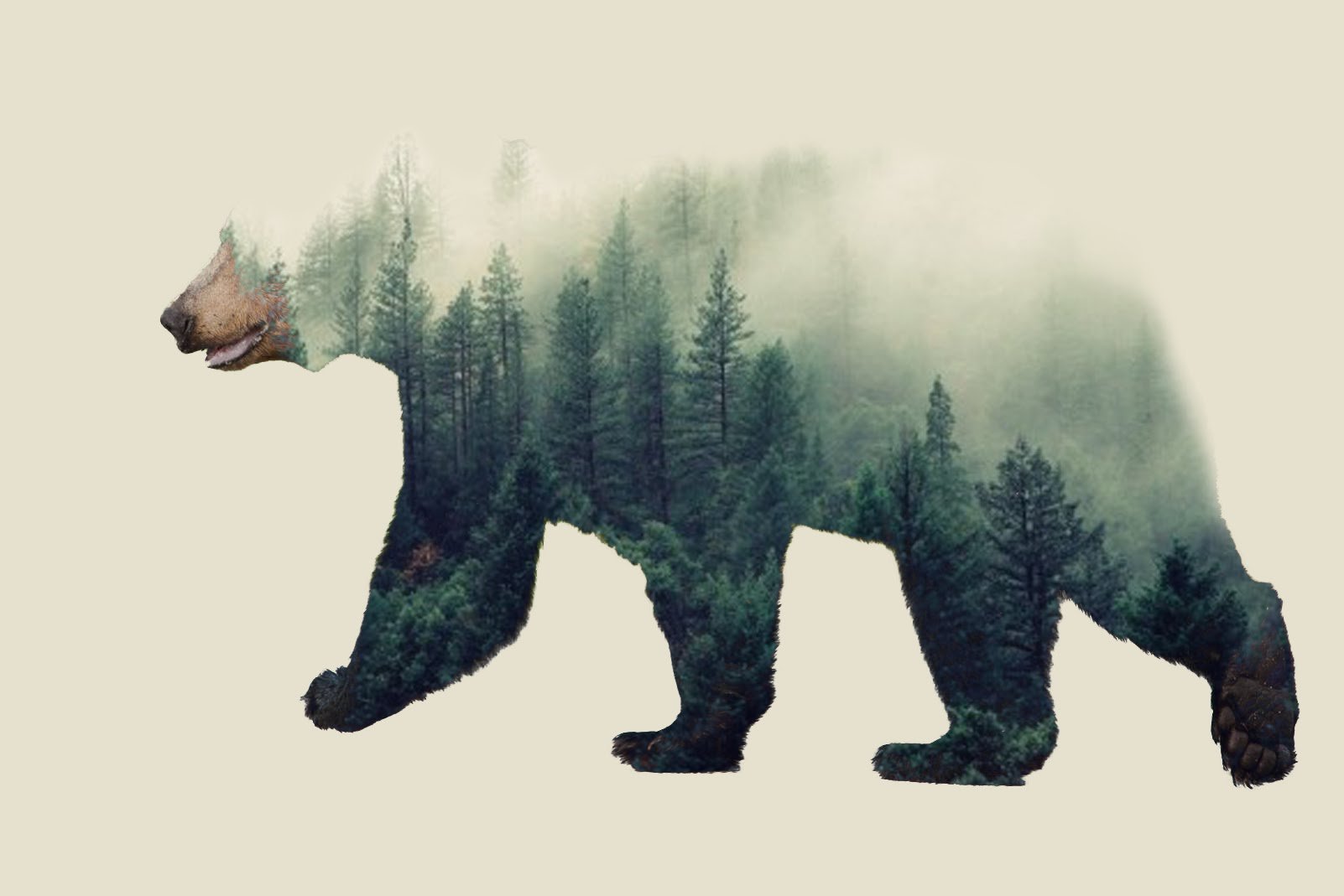 Медведь с лесом