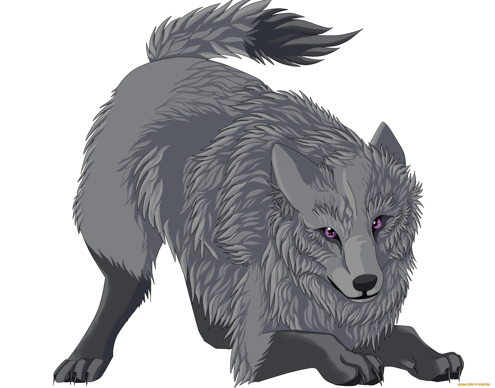 Серый волк арт