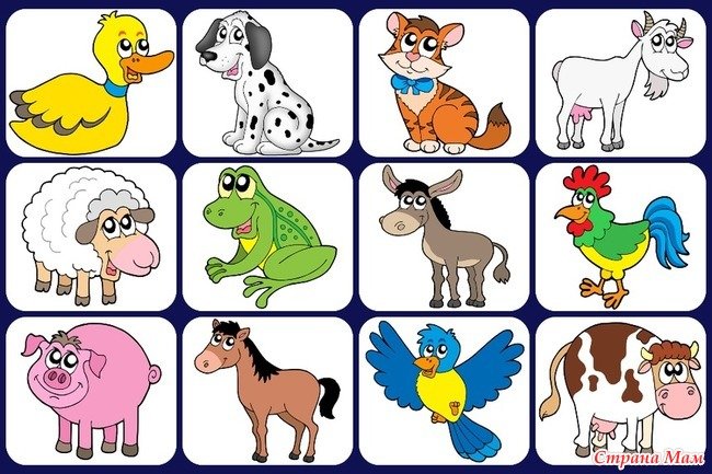 Животные обучающие для детей. Картинки животных для детей. Животные для малышей. Карточки с животными. Изучаем животных для малышей.