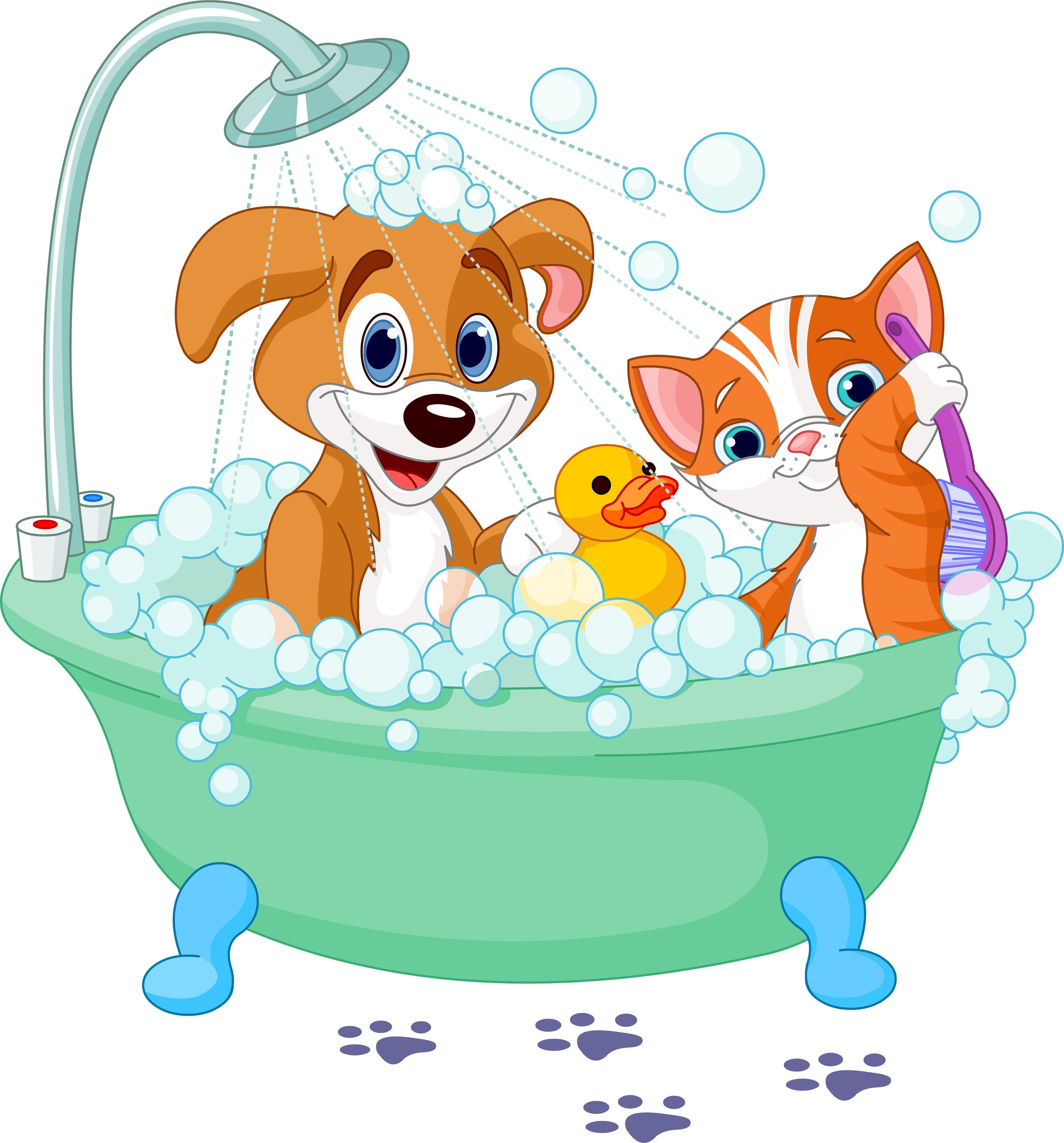 Умывание в чистый четверг. Умываются зверята. Мультяшная собака в ванной. Звери умываются для детей. Умывание мультяшка.