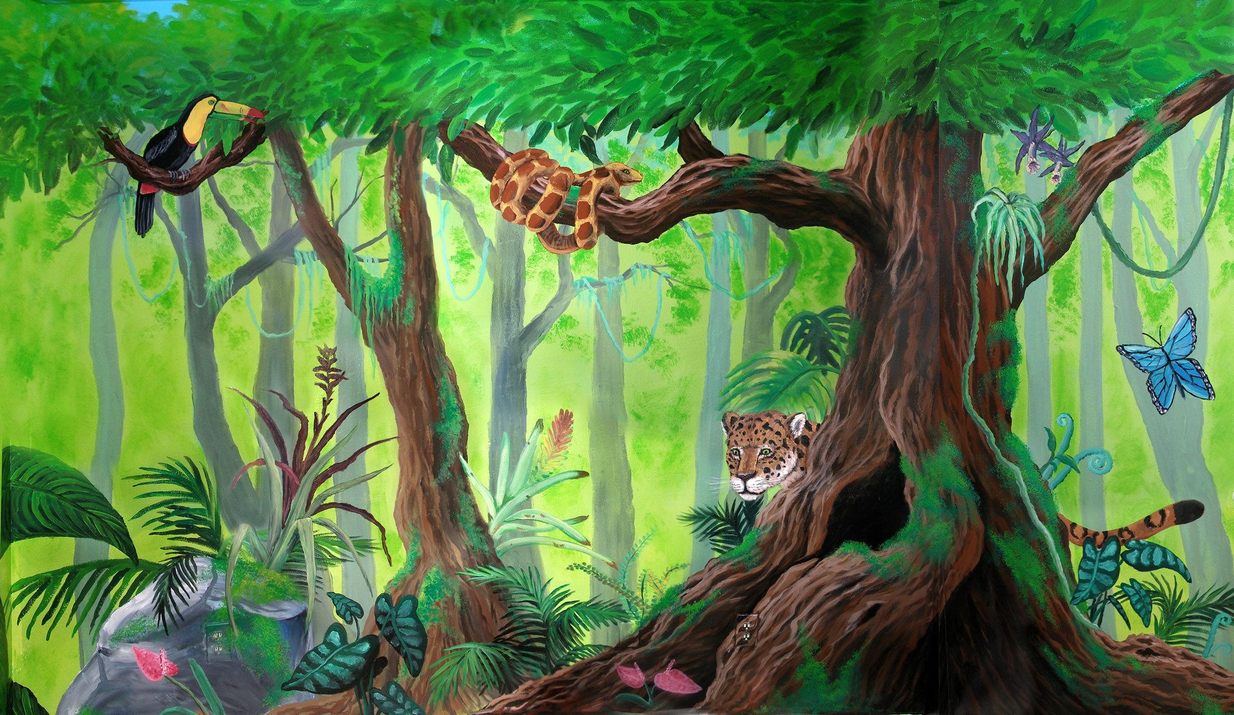 Тропические леса для детей
