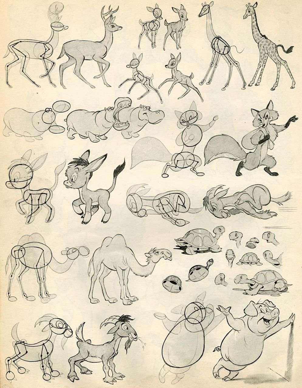 Иллюстрации животных в разных стилях
