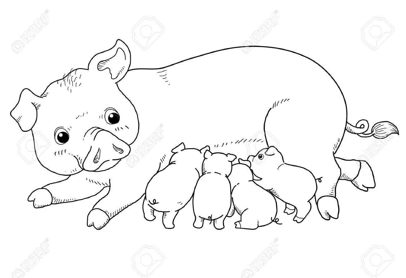 Нарисовать рисунок как заботятся о своем потомстве домашние животные