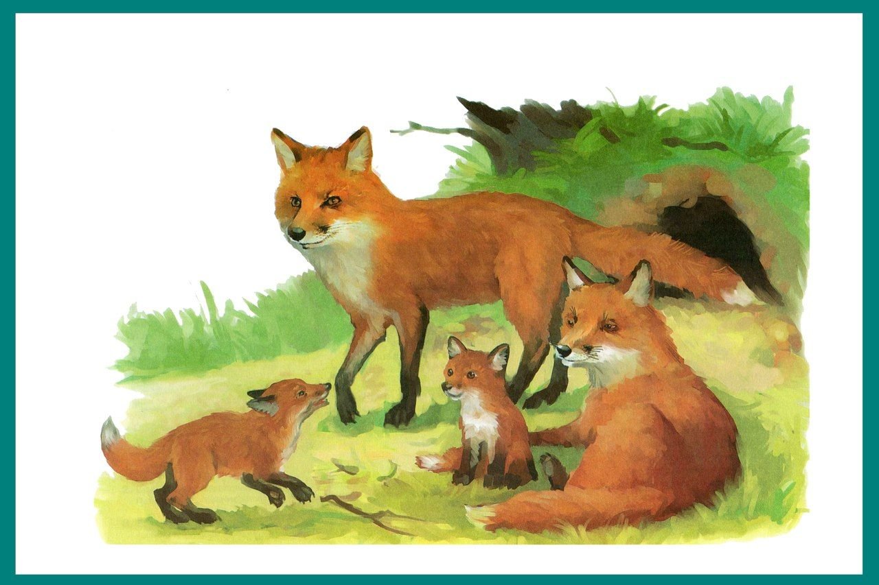 Лесные звери старшая группа. Лиса с лисятами Ушакова. Картина лиса с лисятами. Детеныши диких животных для детей. Семья диких животных.
