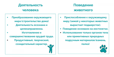 Чем человек отличается от животного Обществознание 6 класс