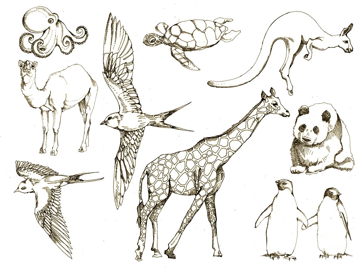 Экзотические животные зарисовки