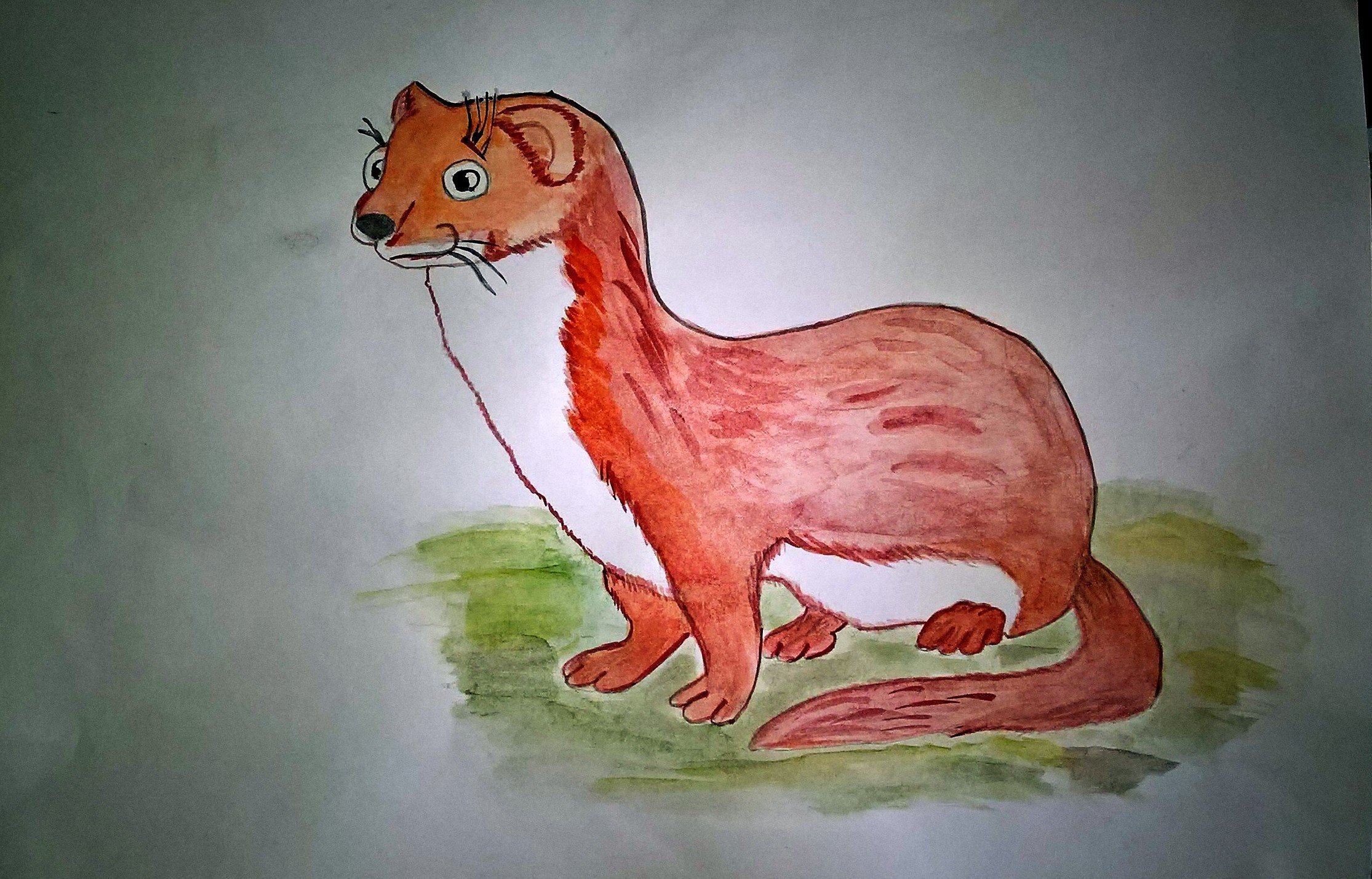 Рисунки краснокнижных животных