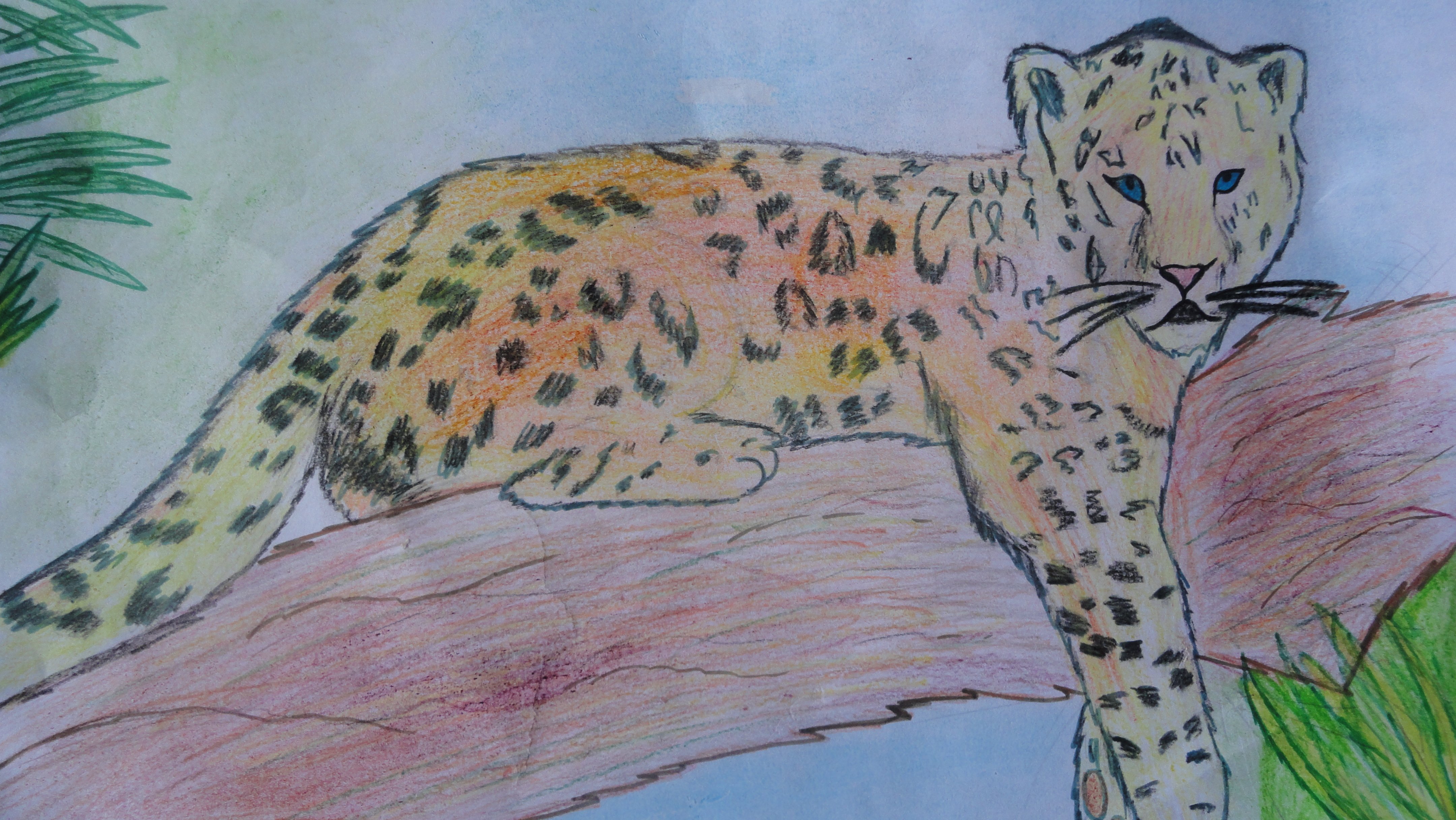 Иллюстрация Амурский леопард