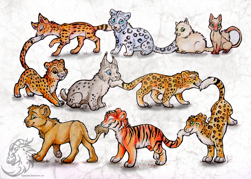 Тигр волк лиса. Семейство кошачьих арт. Животные рисунки. Семейство кошачьих для детей. Семейство кошачьих рисунки.