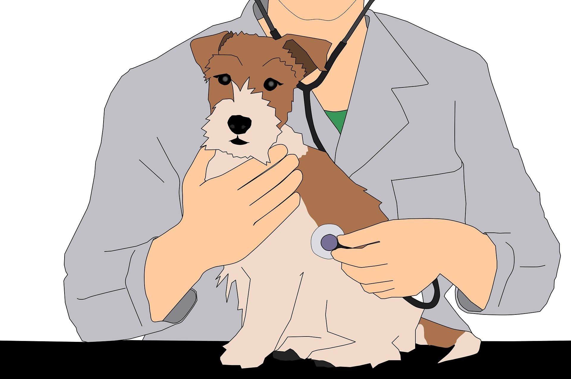 Ветеринар иллюстрация