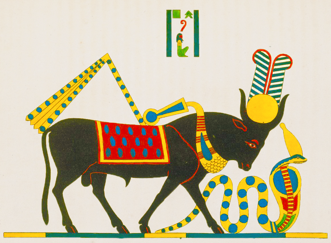 Животные богов египта. АПИС Бог Египта. АПИС В древнем Египте. Египетский Бог бык АПИС. Древний Египет Священные животные АПИС.