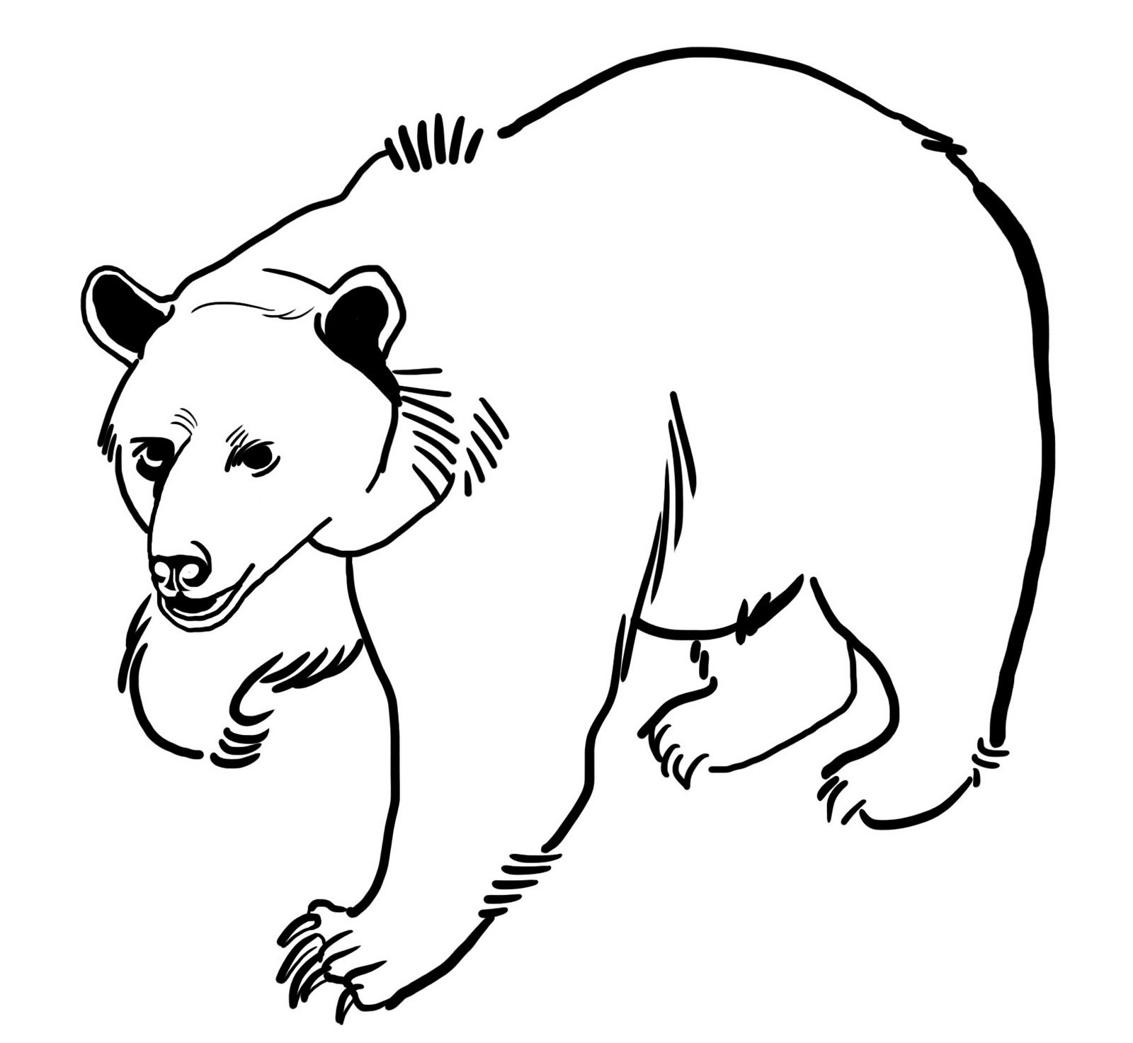 Медведь черно белый для детей
