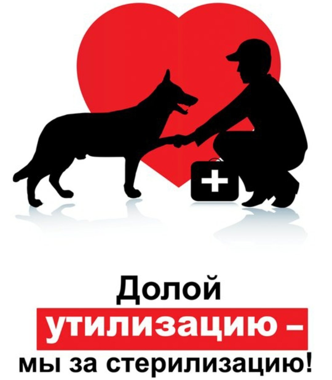Плакаты в защиту бездомных животных