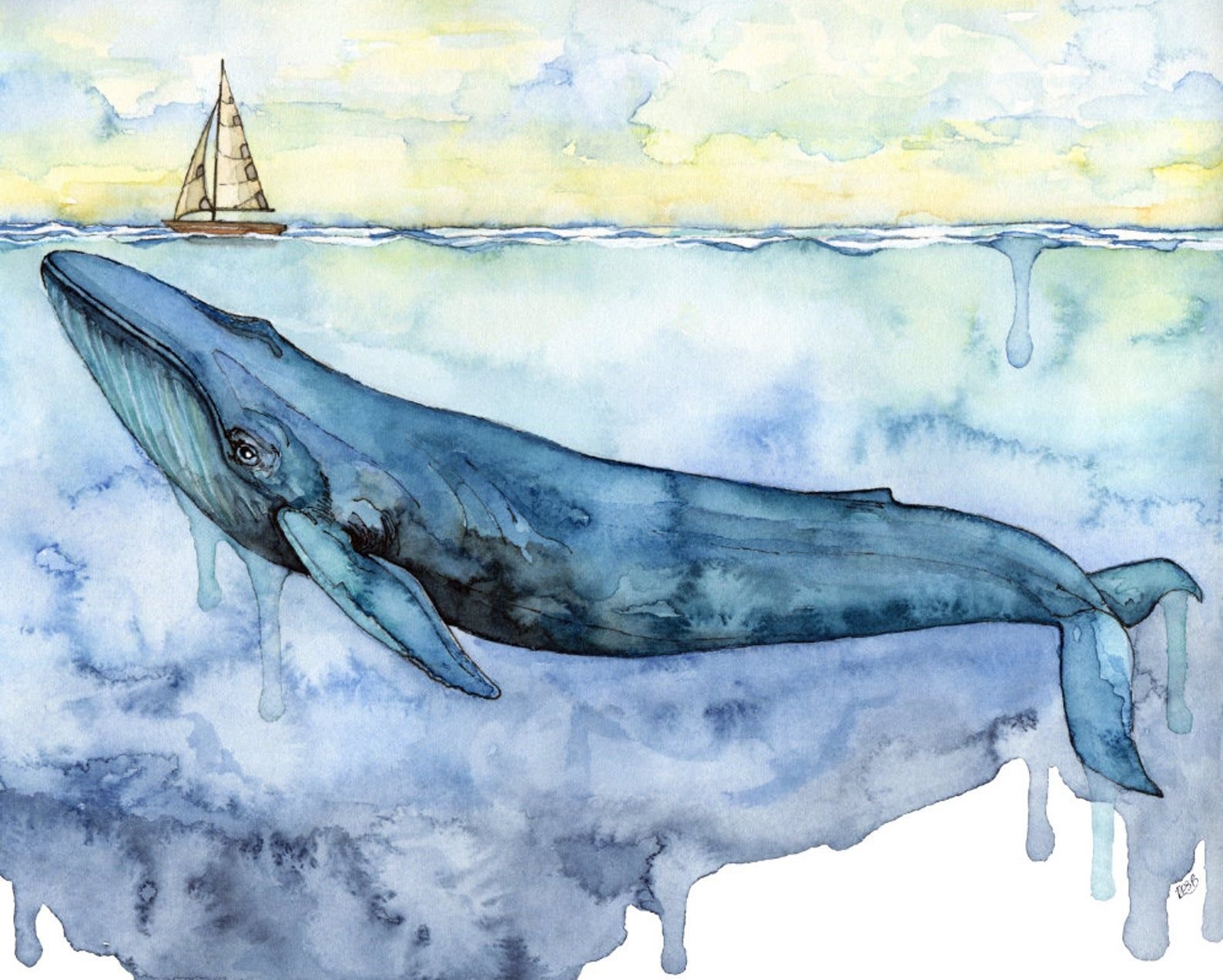 Синий кит в Антарктиде