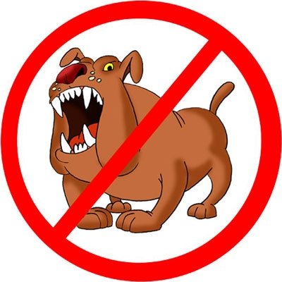 Осторожно бешеная собака