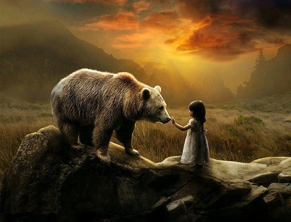 Мудрый медведь. Мудрость про медведя. Медведь мудрец. Интересные картинки со смыслом.