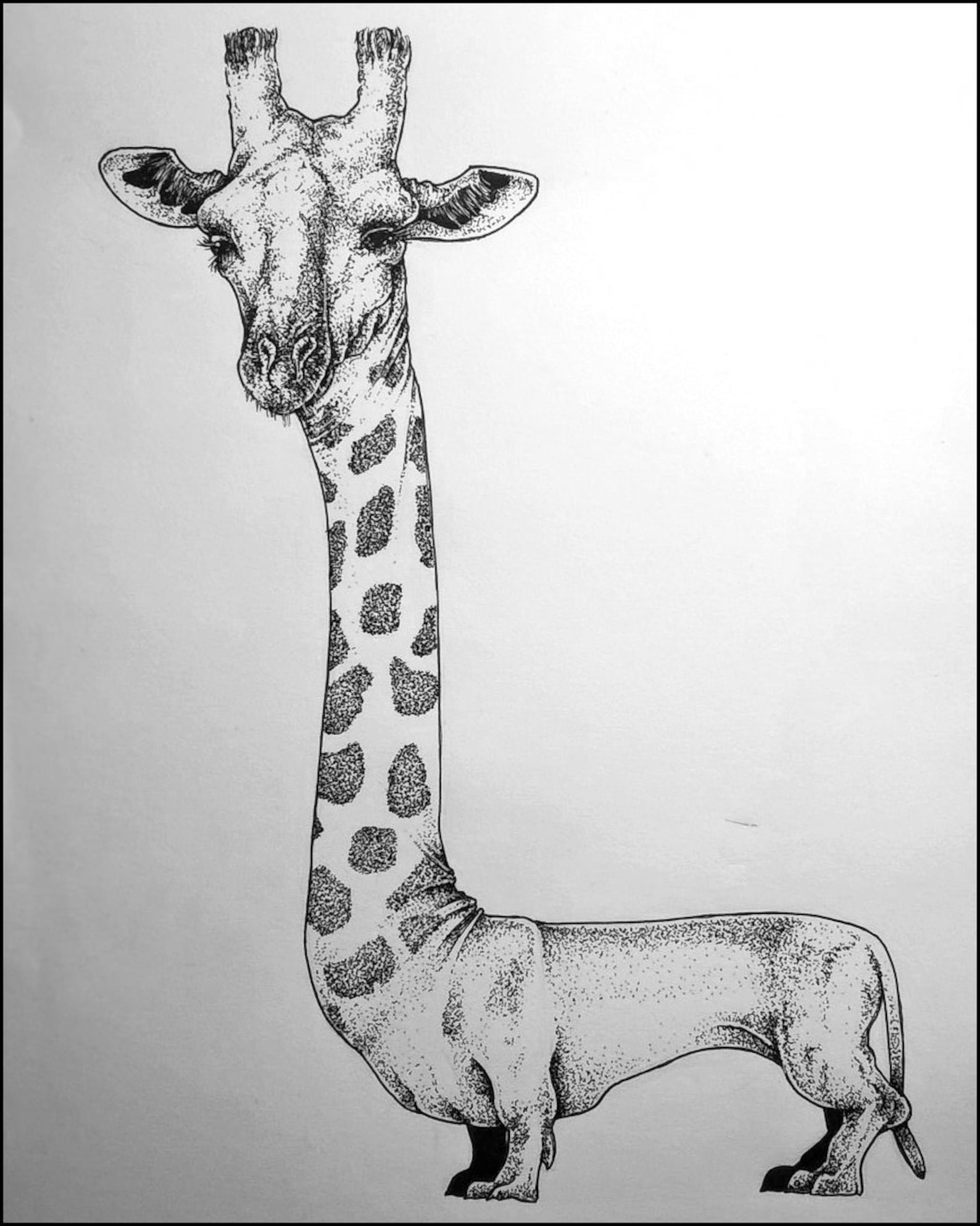 Гибрид рисунок. Животные рисунки. Животные для срисовки карандашом. Необычные животные рисунки. Гибрид животного рисунок.