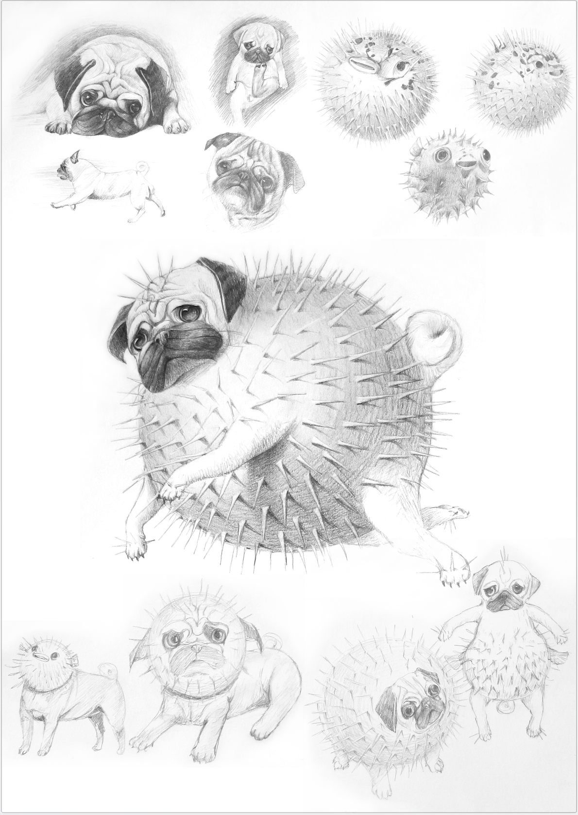 Гибридные животные рисунок. Гибридная иллюстрация. Нарисовать гибридное животное. Раскраски гибриды животных. Гибрид рисунок