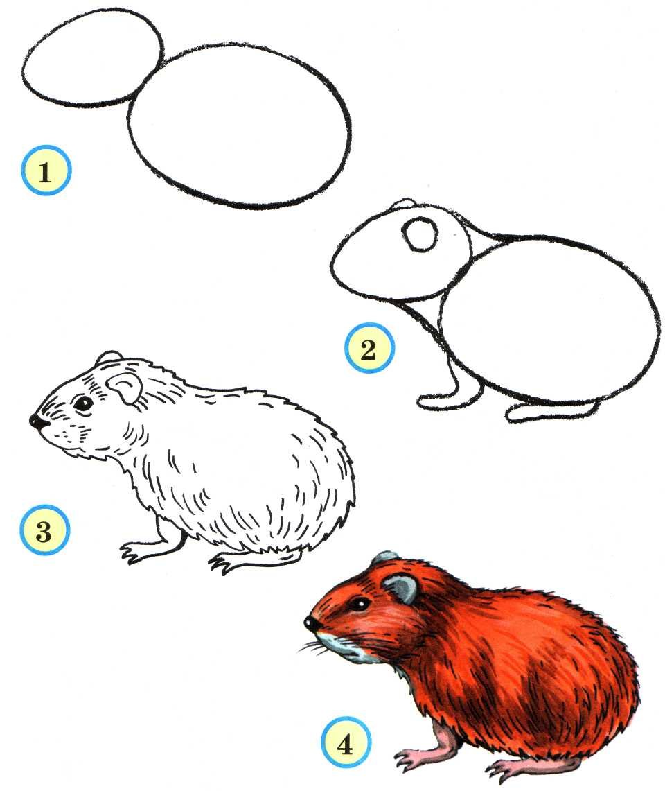Поэтапное рисование животных для детей