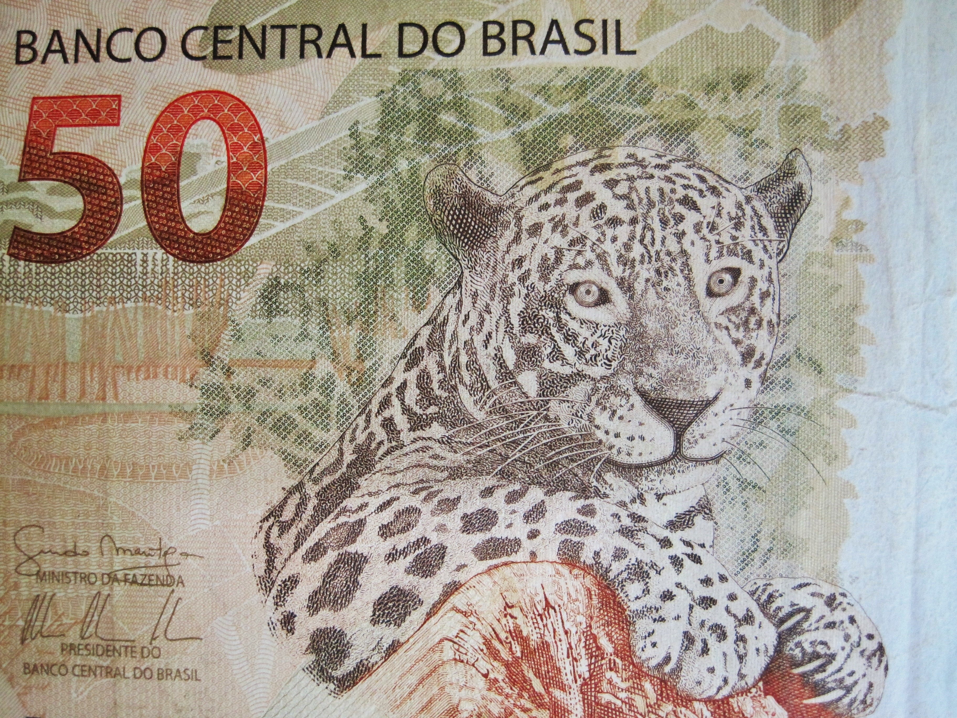 Банкнота с тигром