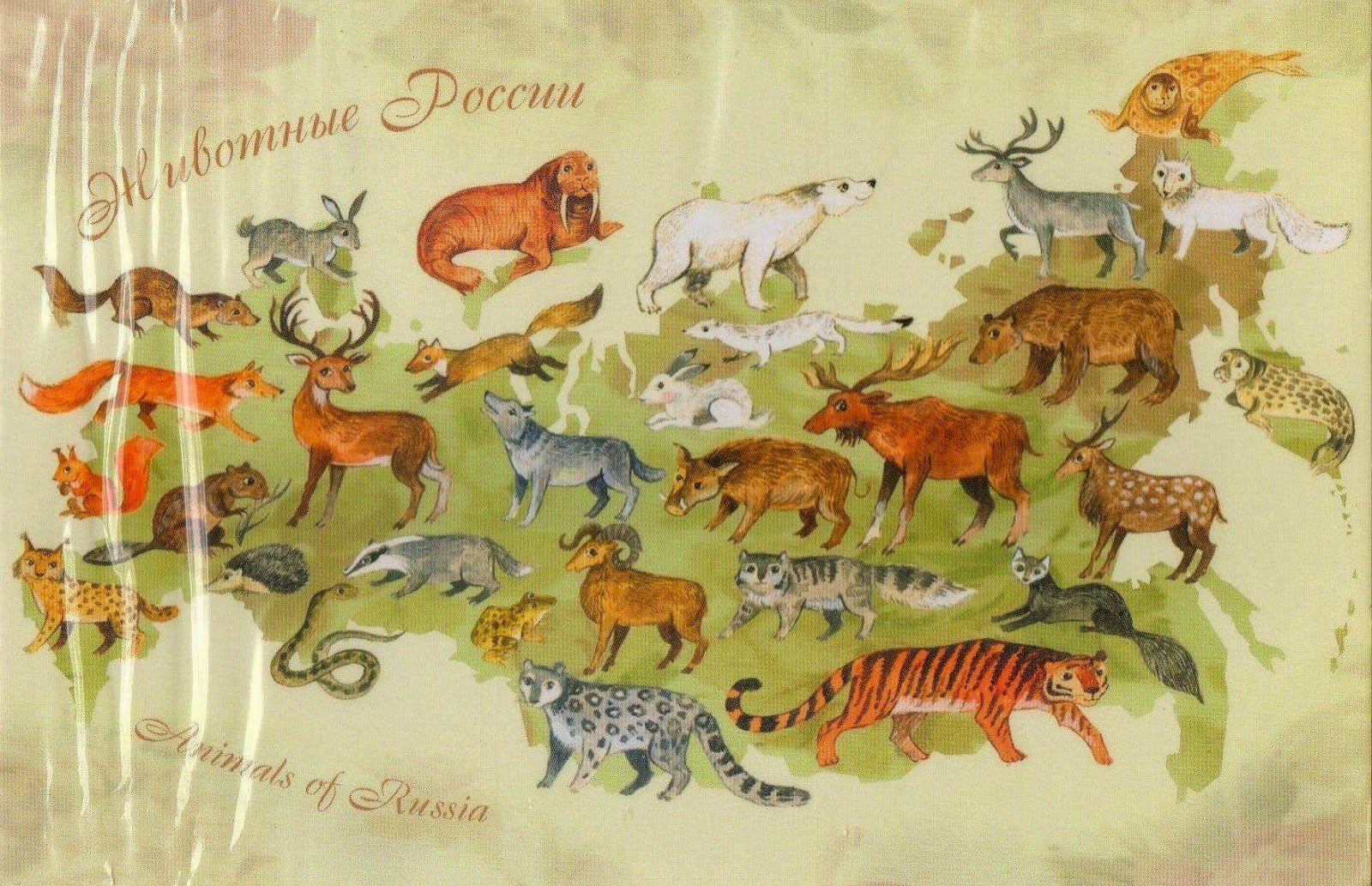 Животные которые обитают в России