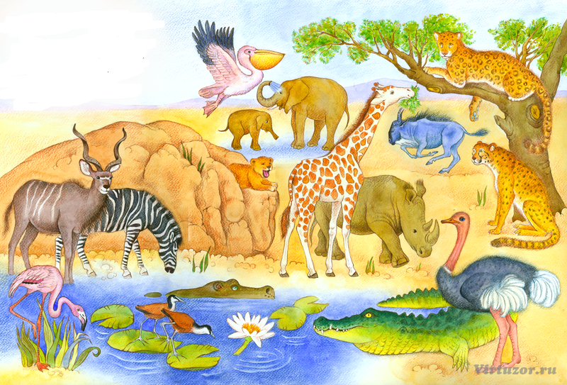 Изображение каких животных. Животные Африки для детей. Звери Африки для детей. Животные саванны для детей.
