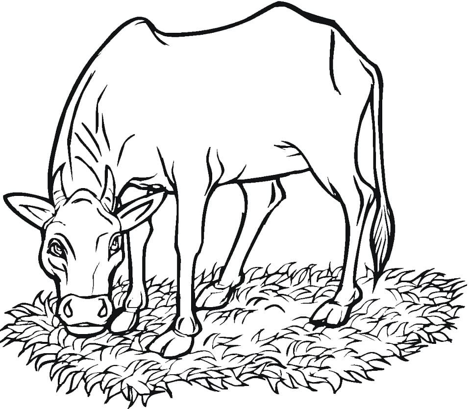 Корова картинка раскраска