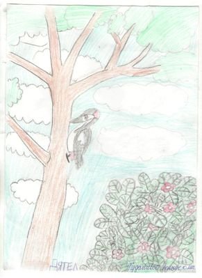 Не разорять муравейники