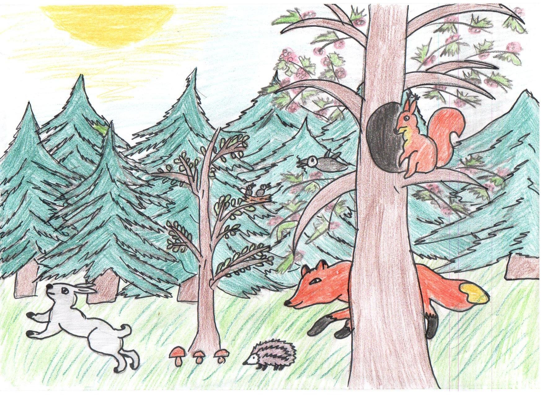 Оберегать лес. Рисунок на тему лес. Рисунок леса для срисовки. Рисунок на тему дети о лесе. Рисунок леса и его обитателей.