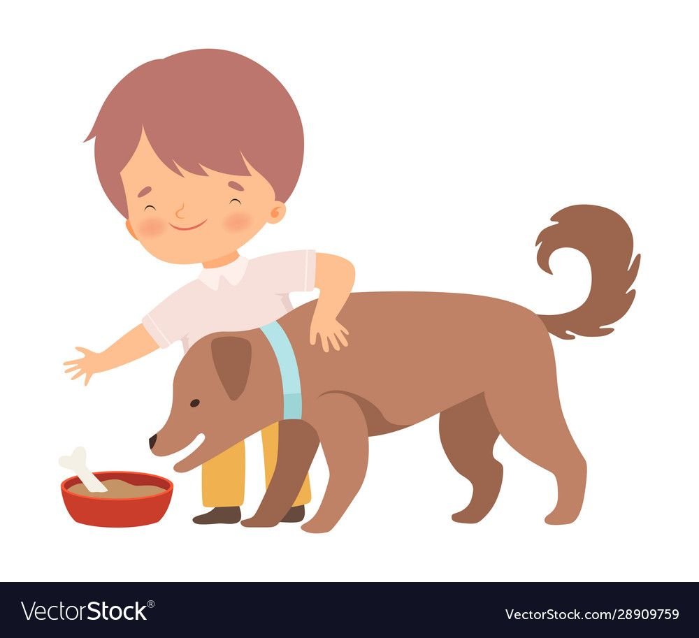 Мальчик кормит собаку