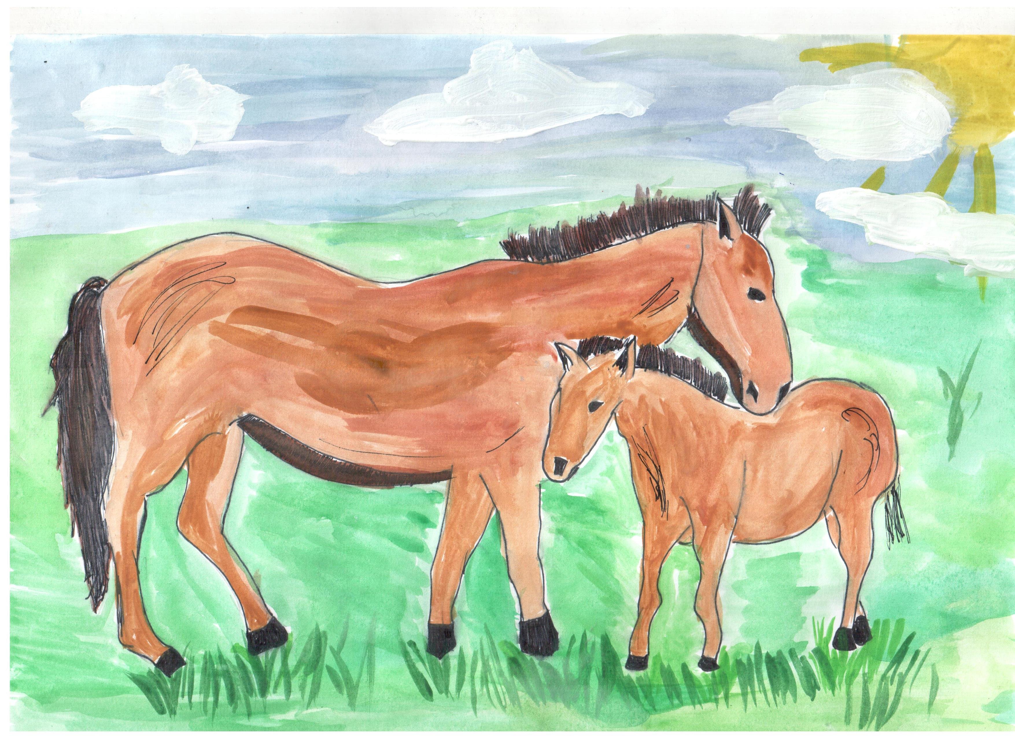 Рисунок лошади на конкурс