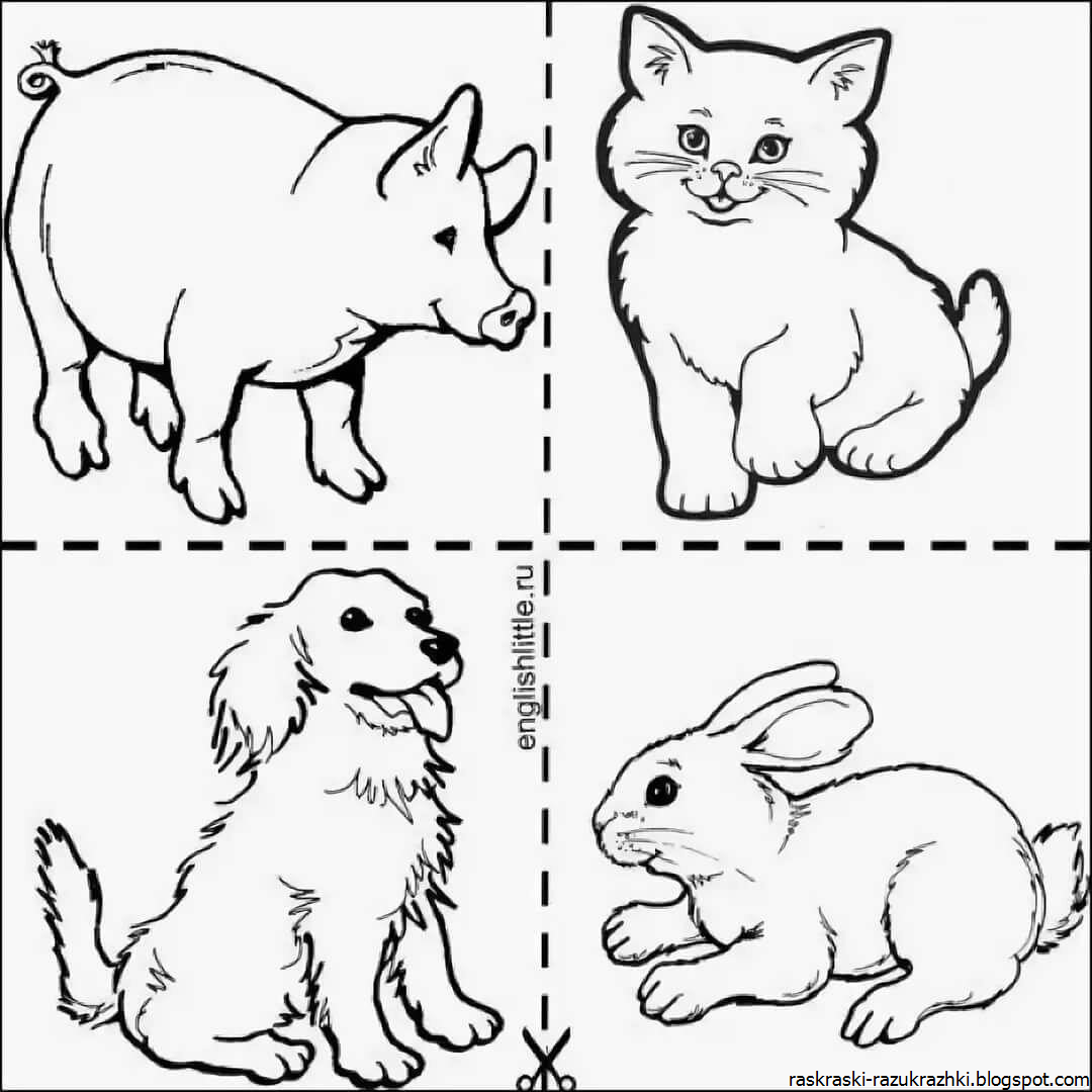 Картинки с животными для распечатки