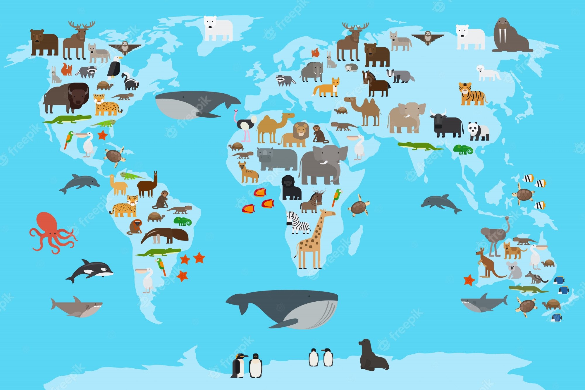 Карта мира животные