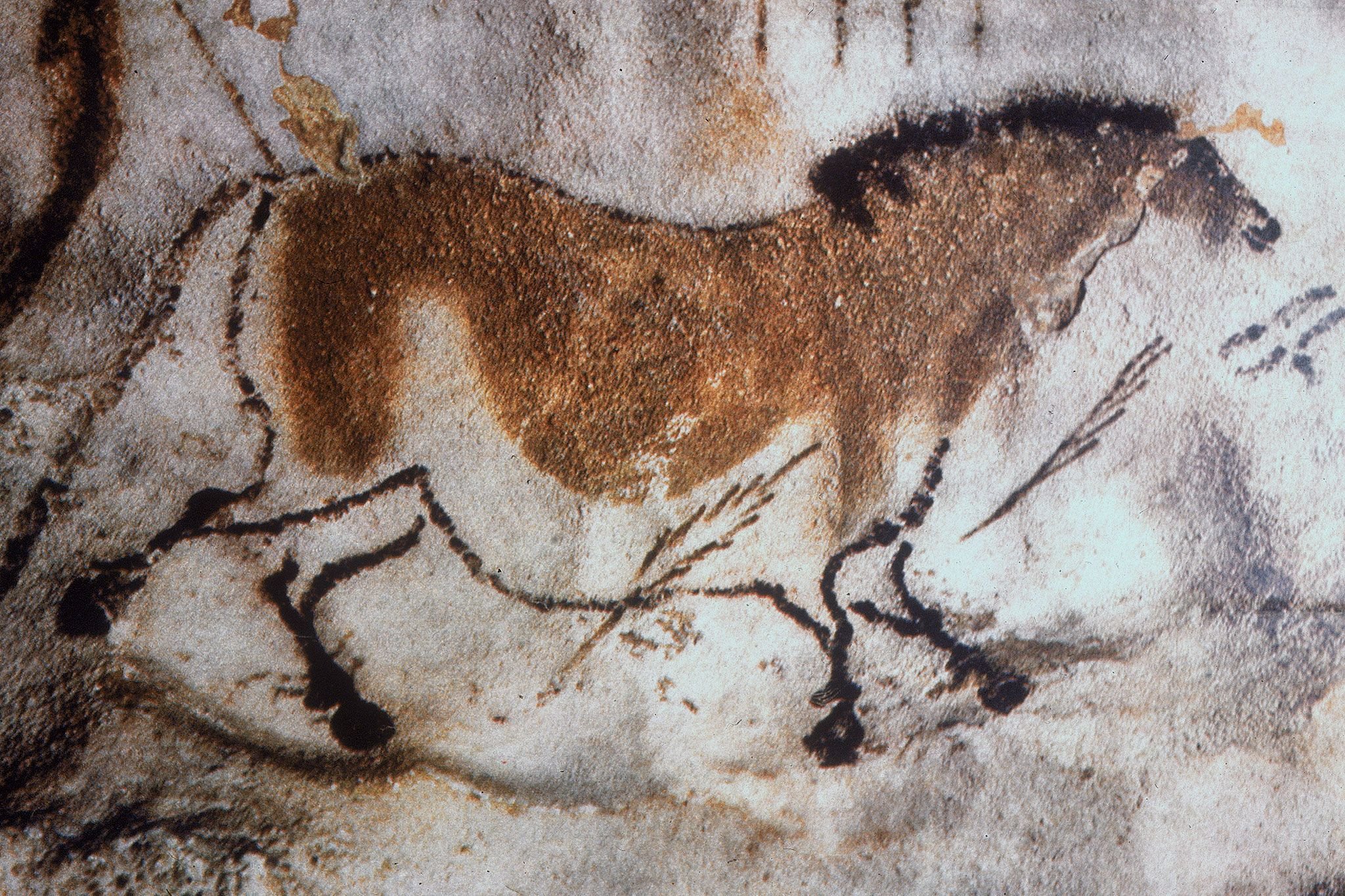 Лошадь пещера Ласко Франция