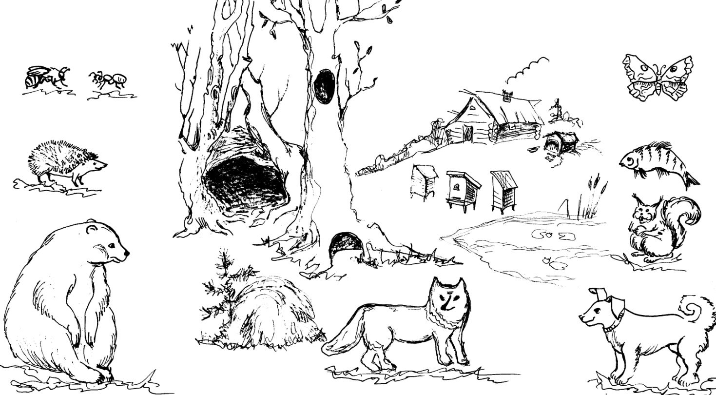 Рисование жилища животных