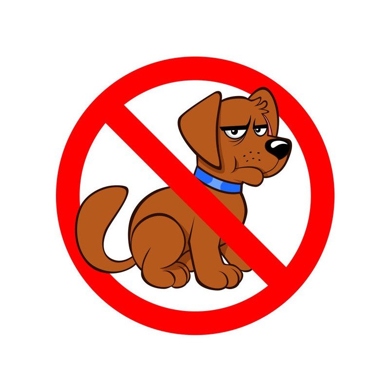 Собака знак. Запрещающие знаки животных. Что нельзя собакам. Знак с собаками нельзя. Почему собакам нельзя сыр