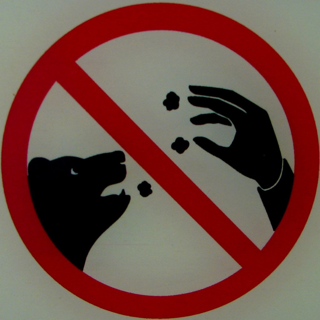Животных не кормить табличка