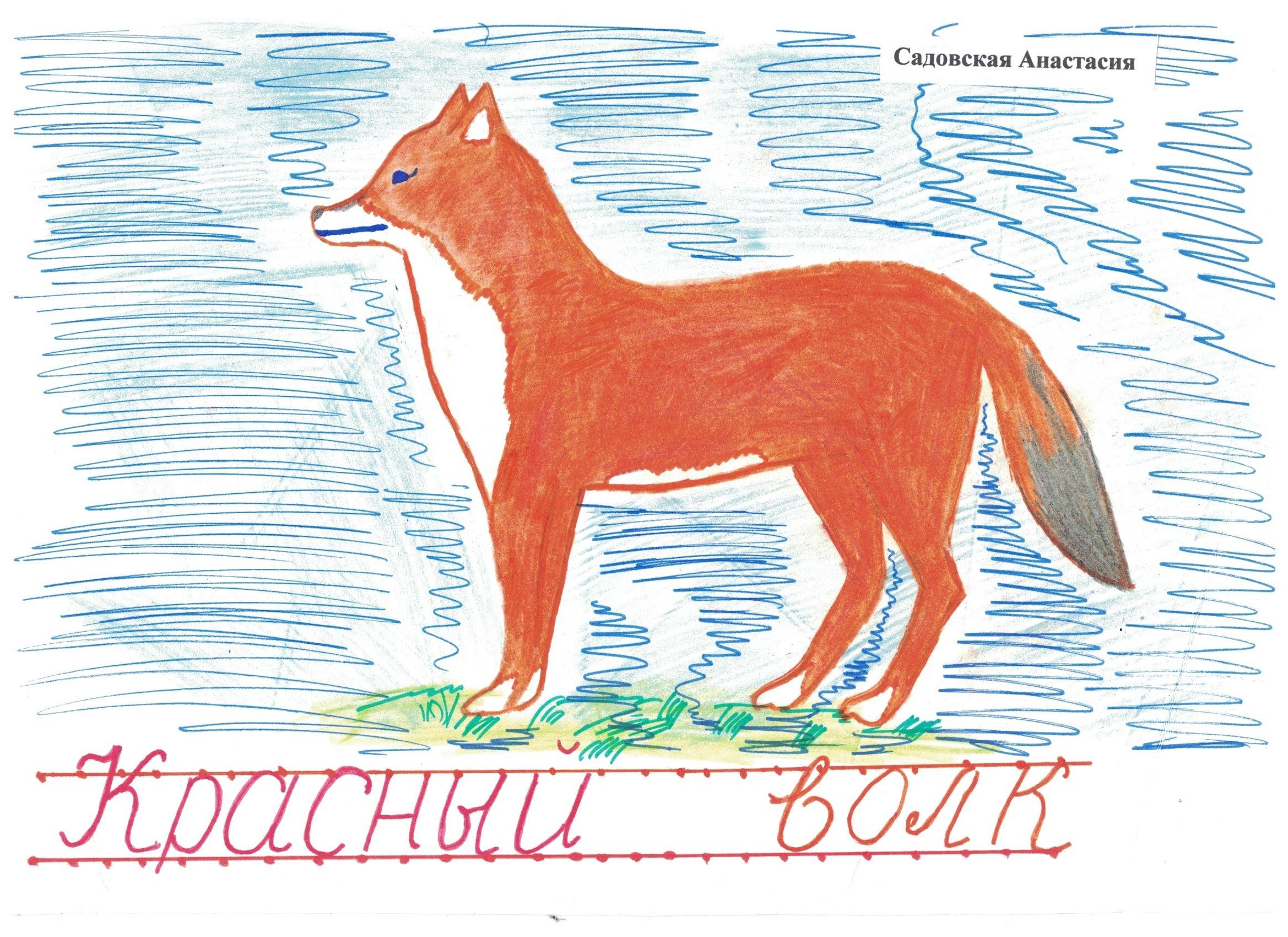 Рисунок на тему животные красной книги