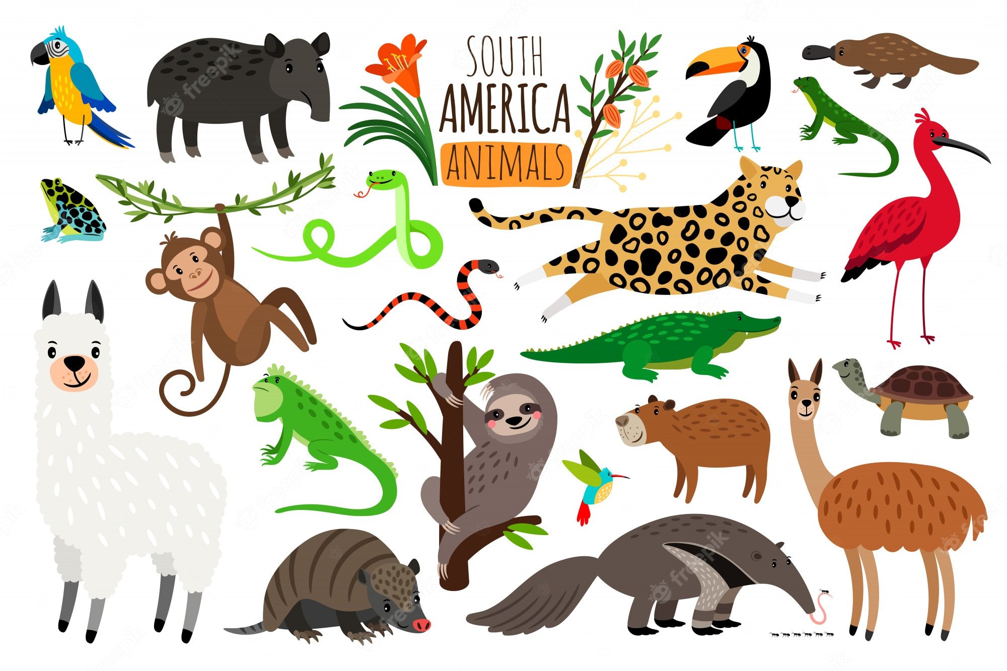 Животные Южной Америки для детей