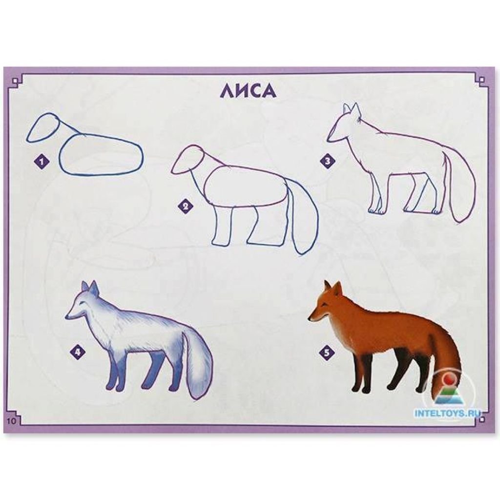 Схемы рисования диких животных для детей