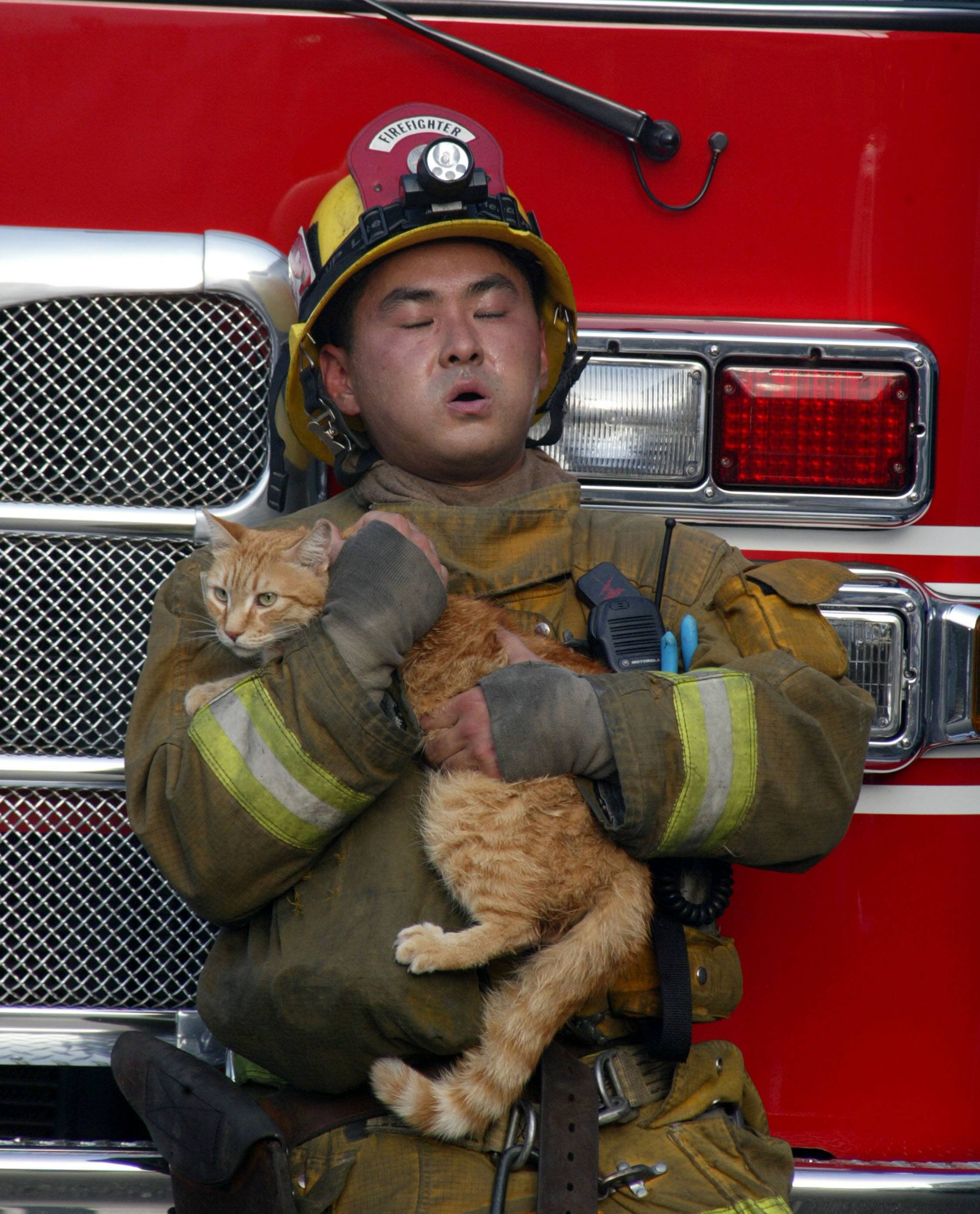 Пожарный с котенком