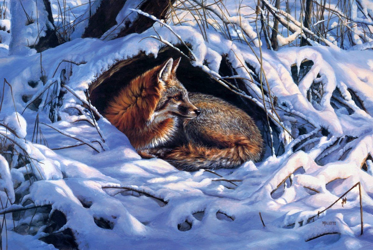 Животные в лесу зимой