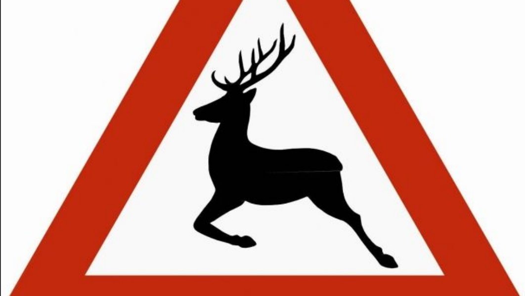 Что означает знак оленя. Предупреждающие знаки Дикие животные. Дорожный знак олень. Знак осторожно олени. Дорожный знак Дикие животные.