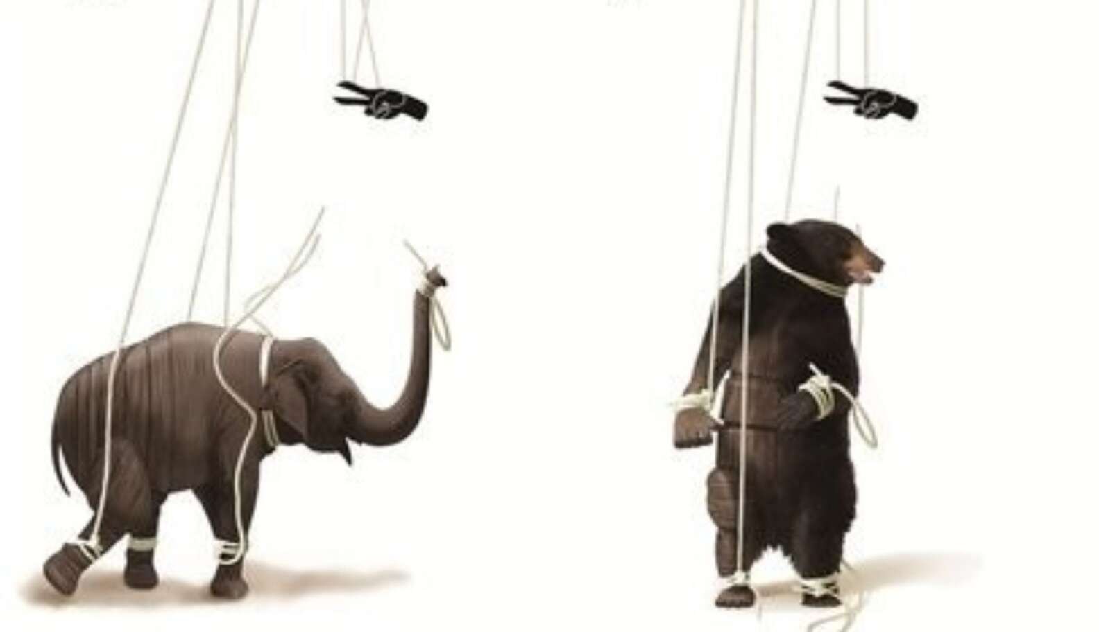 Запрет животных в цирке. Эксплуатация животных в цирке. Социальный плакат животные. Против цирка с животными. Социальный плакат животные в цирке.