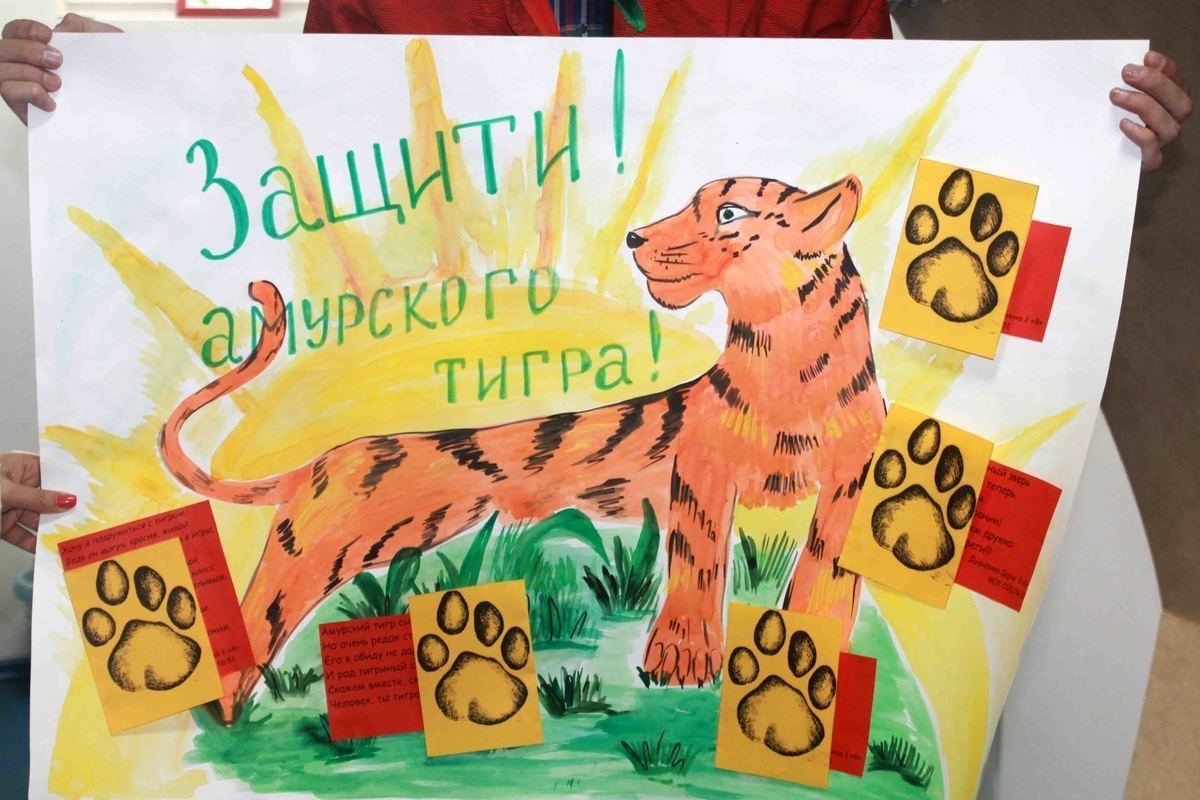 Защита амурских тигров плакат