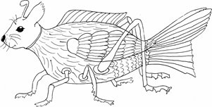 Контура животных много