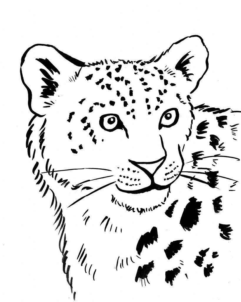Рисование леопарда для детей