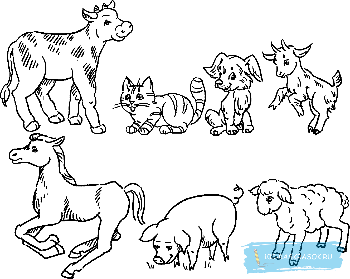 Раскраска для дошкольников животные. Раскраска домашние животные. Раскраски животные для детей. Домашние животные раскраска для детей. Домашние животные картинки раскраски.