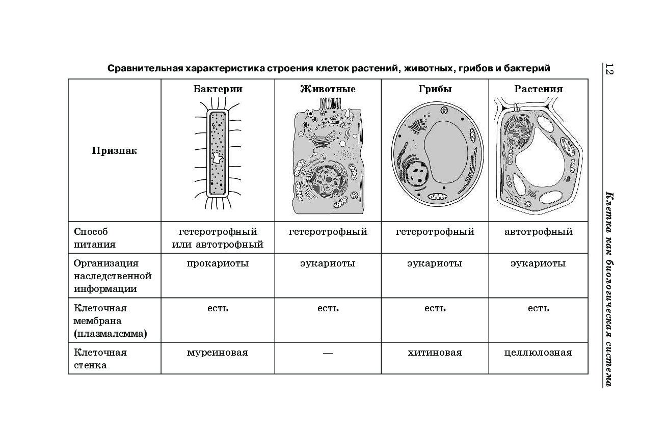 Биология 5 класс в таблицах и схемах