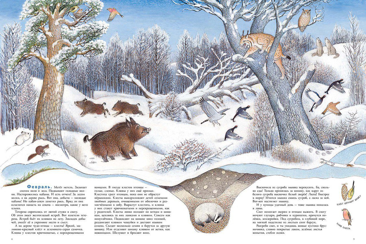 Петр Багин иллюстрации в лесу зима